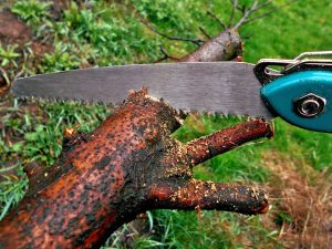 best swiss army knife with saw blade